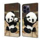 For iPhone 11 Pro Max Crystal Painted Leather Phone case(Panda) - 1