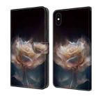 For iPhone XR Crystal Painted Leather Phone case(Peony) - 1