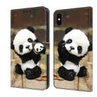 For iPhone X / XS Crystal Painted Leather Phone case(Panda) - 1