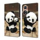 For Honor 50 Pro Crystal Painted Leather Phone case(Panda) - 1