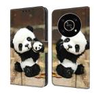 For Honor X9 4G/5G/X30/Magic4 Lite Crystal Painted Leather Phone case(Panda) - 1