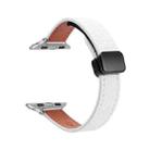 For Apple Watch SE 2023 40mm Slim Magnetic Buckle Genuine Leather Watch Band(Litchi Beige) - 1