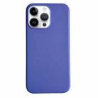 For iPhone 15 Pro Max Pure Color Leather Magsafe Magnetic Phone Case(Blue) - 1