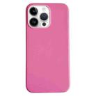 For iPhone 15 Pro Max Pure Color Leather Magsafe Magnetic Phone Case(Pink) - 1