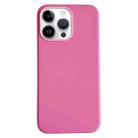 For iPhone 15 Pro Pure Color Leather Magsafe Magnetic Phone Case(Pink) - 1