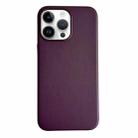 For iPhone 14 Pro Pure Color Leather Magsafe Magnetic Phone Case(Purple) - 1