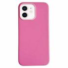 For iPhone 12 Pure Color Leather Magsafe Magnetic Phone Case(Pink) - 1