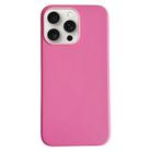 For iPhone 16 Pro Max Pure Color Leather Magsafe Magnetic Phone Case(Pink) - 1