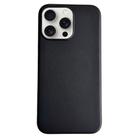 For iPhone 16 Pro Pure Color Leather Magsafe Magnetic Phone Case(Black) - 1