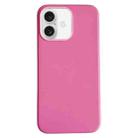 For iPhone 16 Plus Pure Color Leather Magsafe Magnetic Phone Case(Pink) - 1