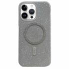 For iPhone 11 Pro Max Glitter MagSafe Magnetic TPU Phone Case(Silver) - 1