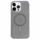 For iPhone 14 Pro Glitter MagSafe Magnetic TPU Phone Case(Silver) - 1