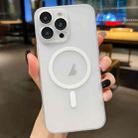For iPhone 11 Pro Max Ultra-thin MagSafe Frosted PC Phone Case(Transparent) - 1
