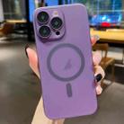 For iPhone 16 Pro Ultra-thin MagSafe Frosted PC Phone Case(Clear Deep Purple) - 1