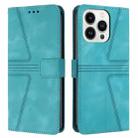 For iPhone 15 Pro Max Triangle Solid Color Leather Phone Case(Green) - 1