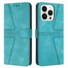 For iPhone 14 Pro Triangle Solid Color Leather Phone Case(Green) - 1