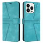 For iPhone 13 Pro Triangle Solid Color Leather Phone Case(Green) - 1