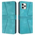 For iPhone 11 Pro Max Triangle Solid Color Leather Phone Case(Green) - 1