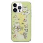 For iPhone 14 Pro Double Sided IMD Full Coverage TPU Phone Case(Green Bow Cat) - 1