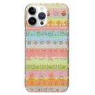 For iPhone 13 Pro Max Double Sided IMD Full Coverage TPU Phone Case(Pentagram Cats Dogs) - 1