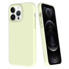 For iPhone 12 Pro Big Hole Dopamine PC Phone Case(Green) - 1