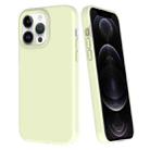 For iPhone 12 Pro Max Big Hole Dopamine PC Phone Case(Green) - 1