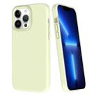 For iPhone 13 Pro Big Hole Dopamine PC Phone Case(Green) - 1