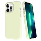 For iPhone 13 Pro Max Big Hole Dopamine PC Phone Case(Green) - 1