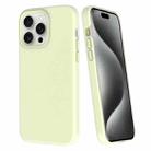 For iPhone 15 Pro Big Hole Dopamine PC Phone Case(Green) - 1