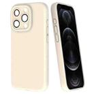 For iPhone 12 Pro Fine Hole Dopamine PC Phone Case(White) - 1