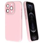 For iPhone 12 Pro Fine Hole Dopamine PC Phone Case(Pink) - 1