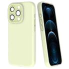 For iPhone 12 Pro Max Fine Hole Dopamine PC Phone Case(Green) - 1