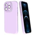 For iPhone 12 Pro Max Fine Hole Dopamine PC Phone Case(Purple) - 1