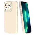 For iPhone 13 Pro Max Fine Hole Dopamine PC Phone Case(White) - 1