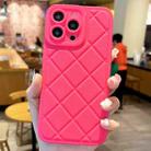 For iPhone 15 Pro Max Lambskin Texture Matte TPU Phone Case(Rose Red) - 1