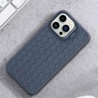 For iPhone 16 Pro Max Honeycomb Radiating Lens Holder TPU Phone Case(Blue) - 2