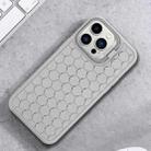 For iPhone 16 Pro Honeycomb Radiating Lens Holder TPU Phone Case(Grey) - 2