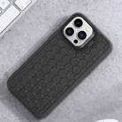 For iPhone 16 Pro Max Honeycomb Radiating Holder TPU Phone Case with Lanyard(Black) - 2