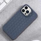 For iPhone 16 Pro Max Honeycomb Radiating Holder TPU Phone Case with Lanyard(Blue) - 2