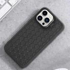 For iPhone 16 Pro Honeycomb Radiating Holder TPU Phone Case with Lanyard(Black) - 2