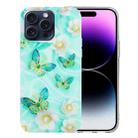 For iPhone 16 Pro Max Colorful Painting Pattern TPU Phone Case(Butterflies) - 1