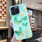 For iPhone 16 Pro Max Colorful Painting Pattern TPU Phone Case(Butterflies) - 2