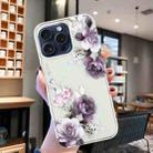 For iPhone 16 Pro Max Colorful Painting Pattern TPU Phone Case(Peony) - 2