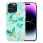 For iPhone 16 Pro Colorful Painting Pattern TPU Phone Case(Butterflies) - 1