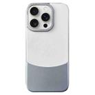For iPhone 15 Pro Max Napa Texture PC + Leather Phone Case(Silver) - 1
