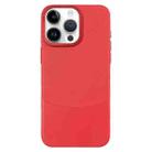 For iPhone 13 Pro Max Napa Texture PC + Leather Phone Case(Red) - 1