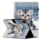 For iPad Pro 11 inch (2020) 3D Pattern Horizontal Flip Leather Tablet Case with Card Slots & Holder & Sleep / Wake-up Function(Cat) - 1