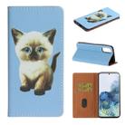 For Samsung Galaxy Note20 Pure Color Painting Horizontal Flip Leather Case with Card Slot & Holder(Cat) - 1