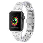 For Apple Watch Series 3 38mm Double T Stainless Steel Watch Band(Silver) - 1