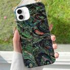 For iPhone 16 Plus Varnishing Water Stick PC Phone Case(Watercolor) - 1